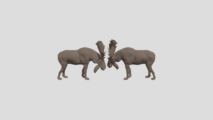 Moose antler fight 3D Model