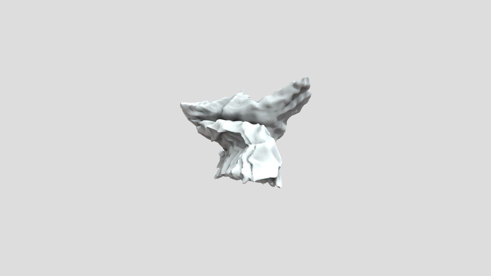 joris A 001