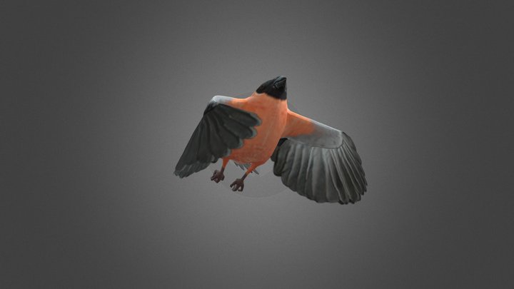 Dove Bird Rigged 3D Model