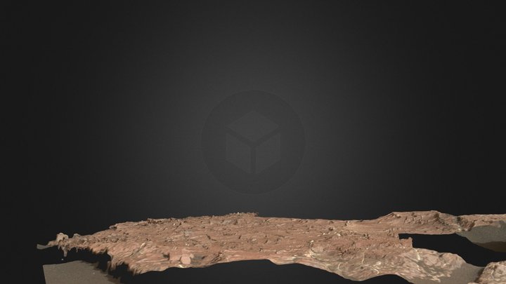 Martian mudcracks 3D Model