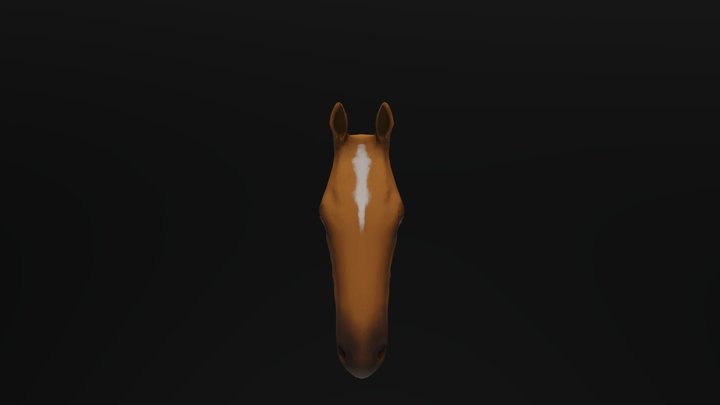 3D Horse Head 3D Model