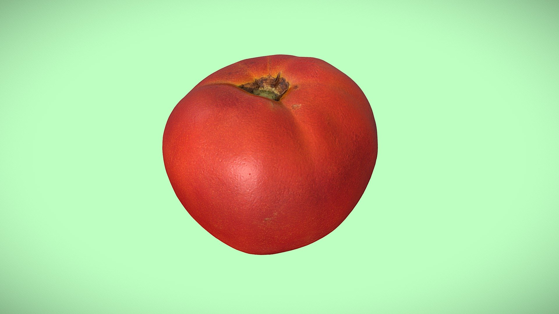 Tomato