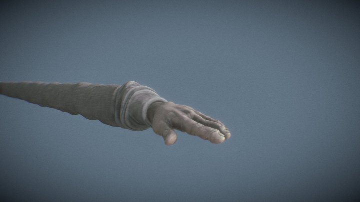 Hypnotist_L_Arm 3D Model