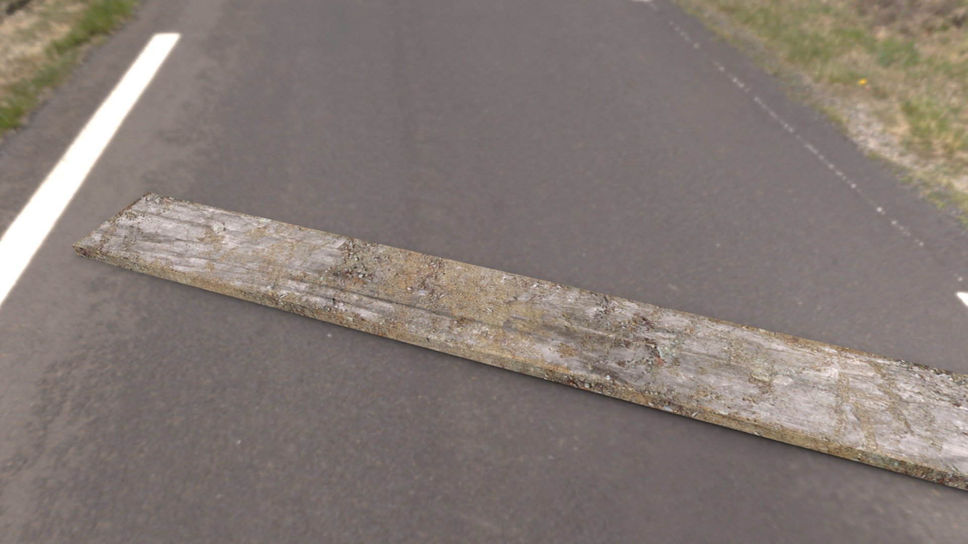 Woodplanks 3