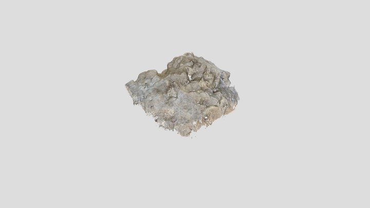 Rocky 3D Model