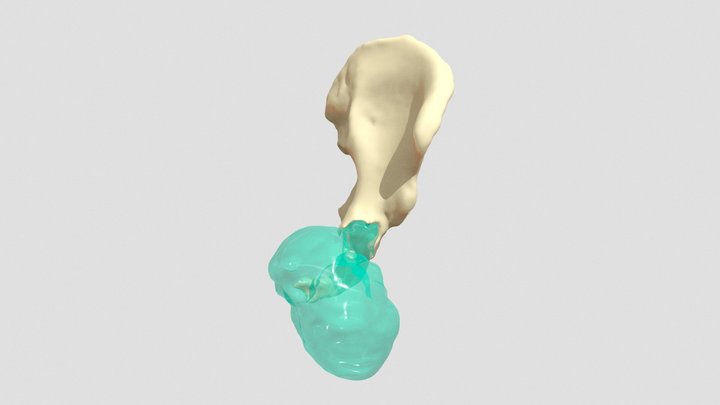 TRA_EOC_310524_1 3D Model