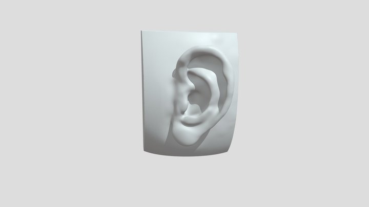 Ear 03 3D Model