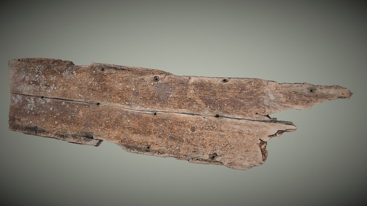 Pine wood double outer plank, 17th century wreck 3D Model