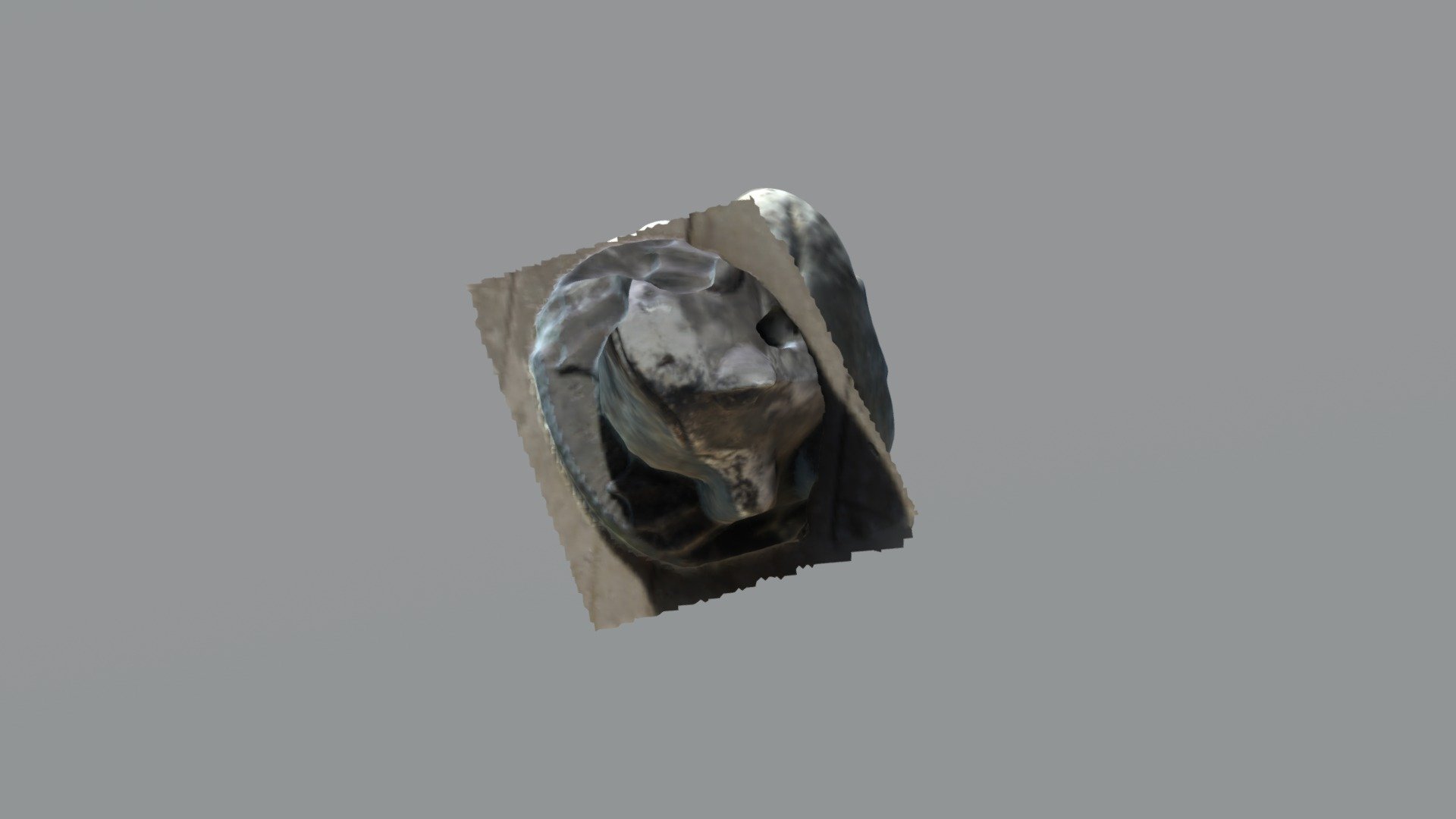 Frog Model