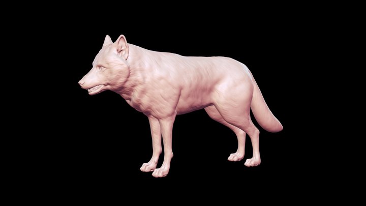 Wolf Base Mesh 3D model 3D Model