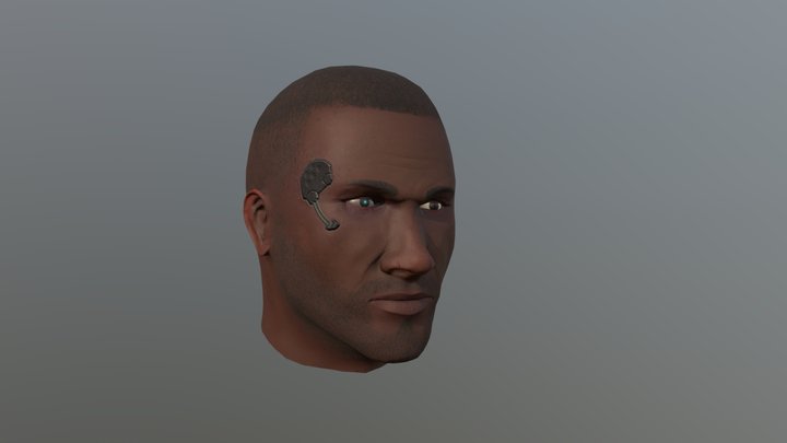 Titan2 trooper head 3D Model