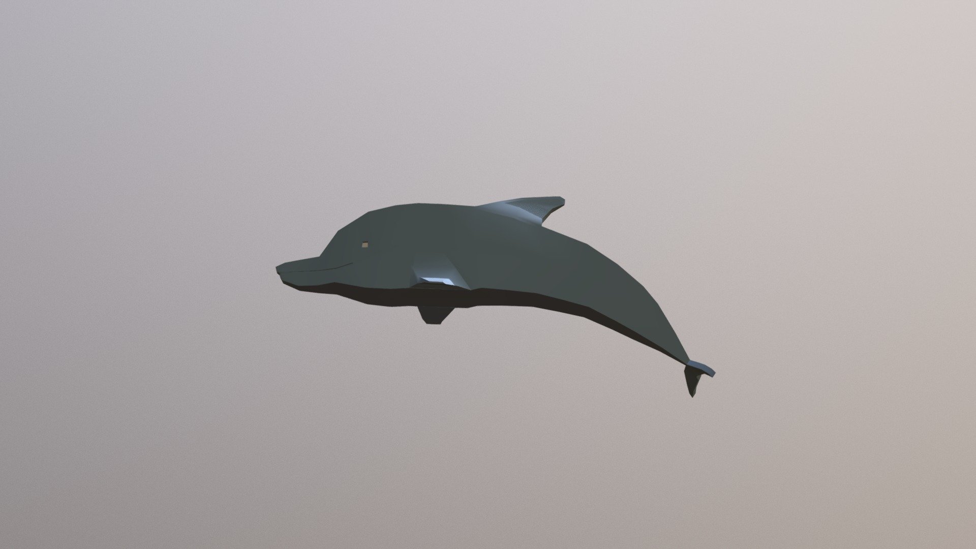 Dolphin