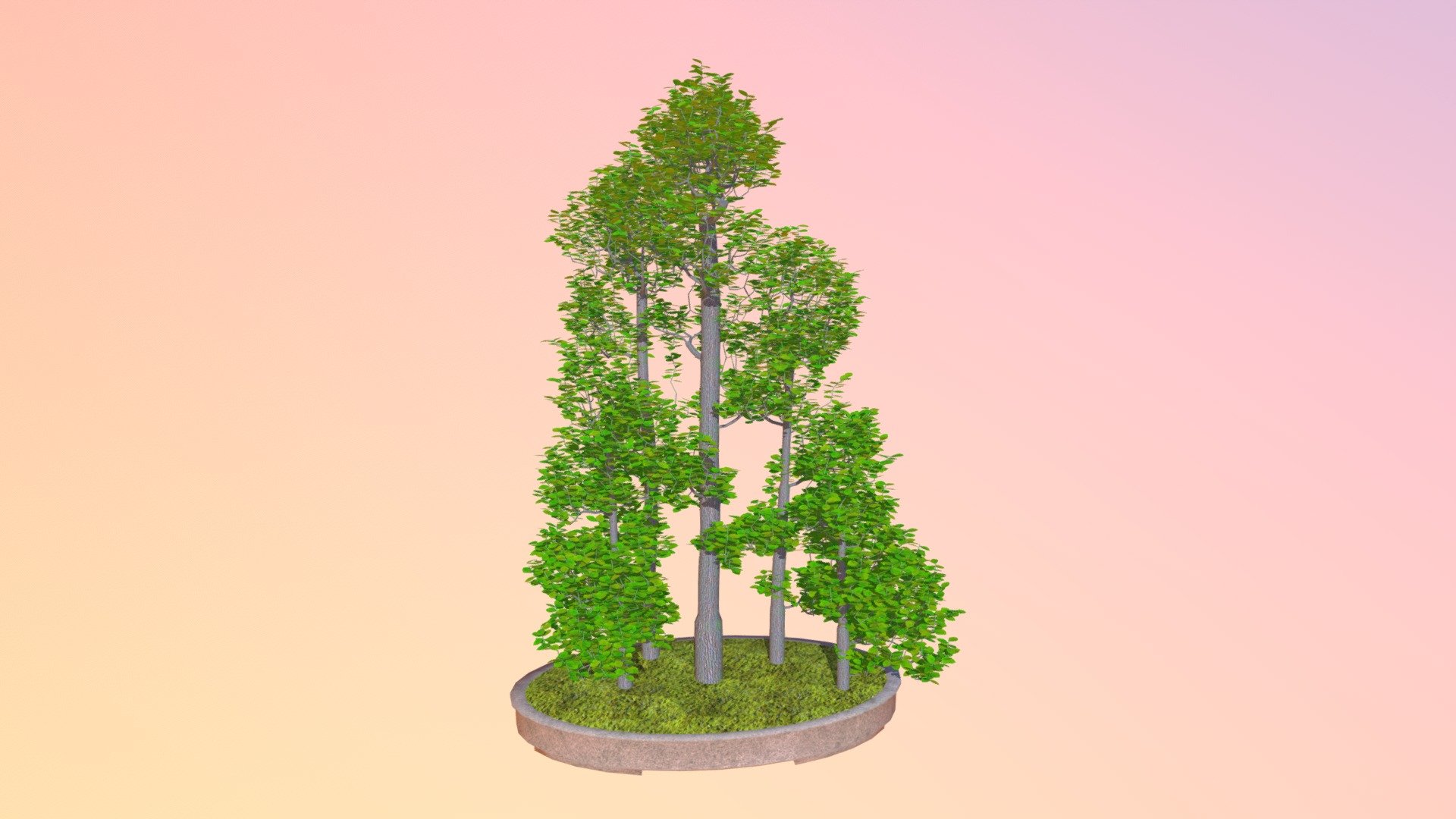 Forest 3d model