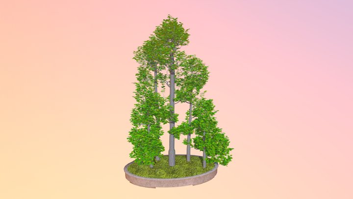 Forest 3D Model