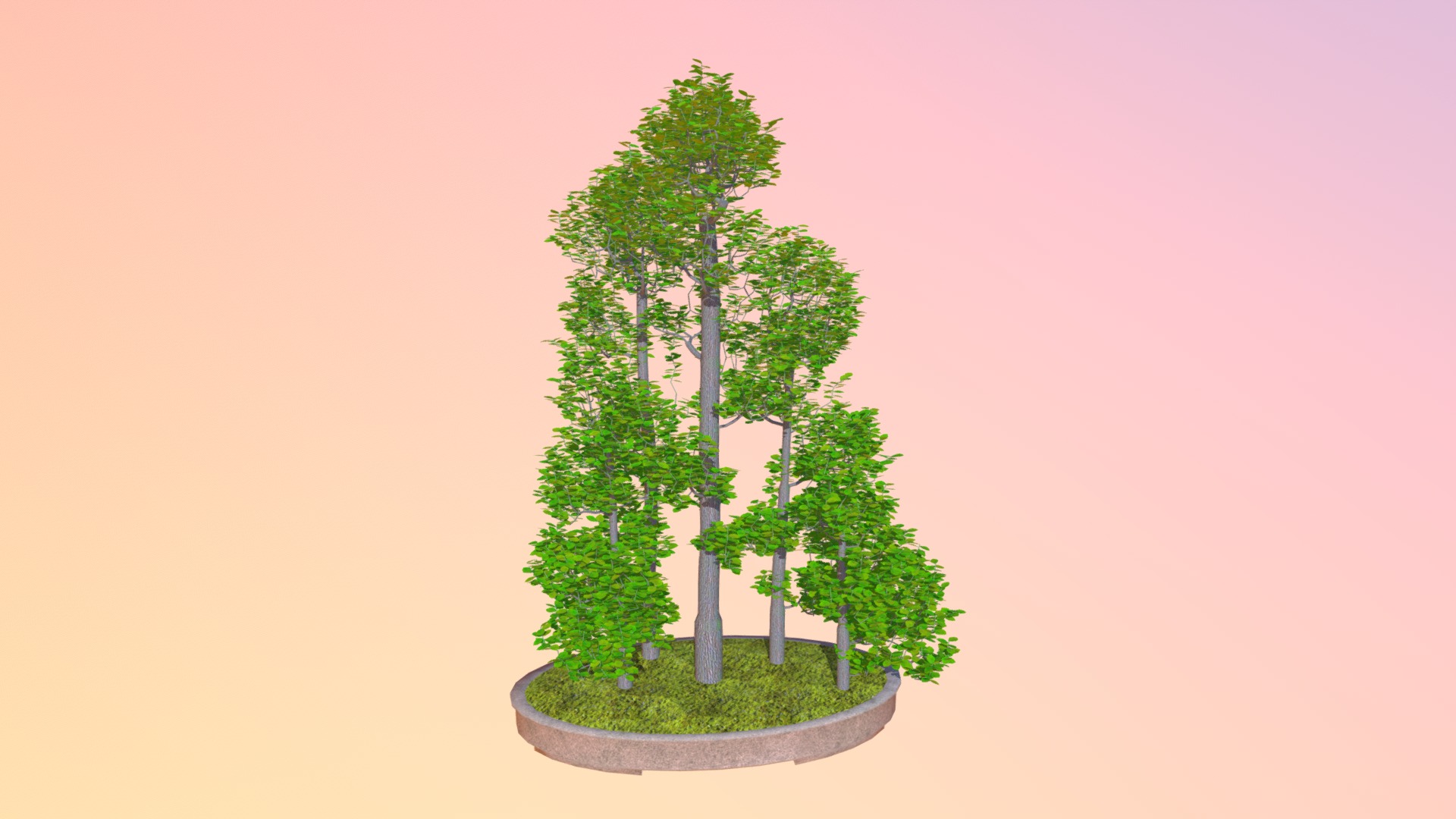 3D model Forest - This is a 3D model of the Forest. The 3D model is about shape, arrow.