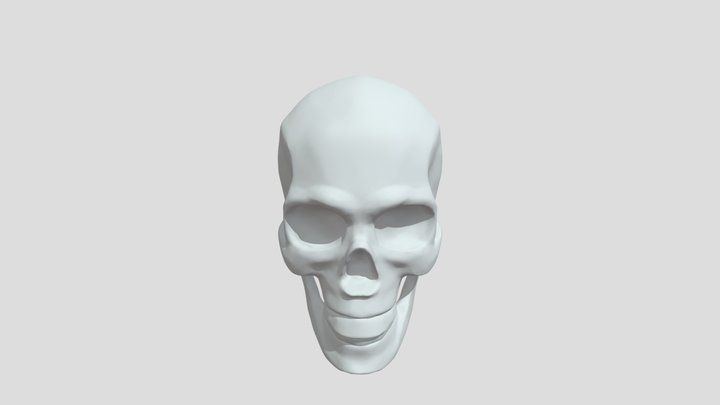 Skull 3D Model