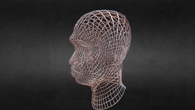 Wireframe Head – Free 3D Model STL