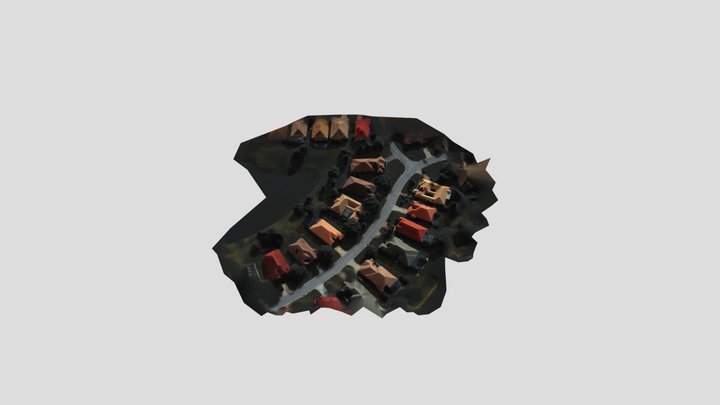 House By Dog Park Lake 3D Model