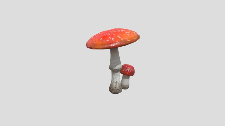 AmanitaMuscaria 3D Model