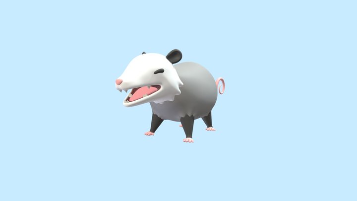 Opposum 3D Model