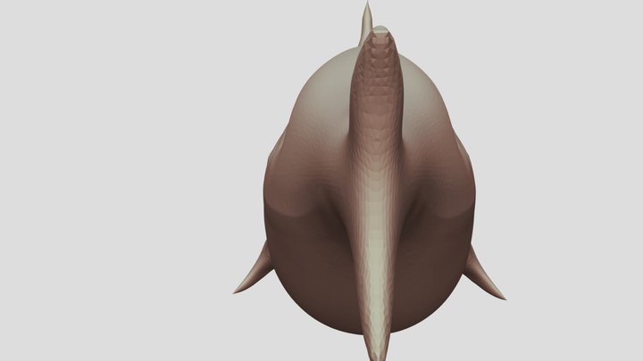 Shark Sculpt V1 3D Model
