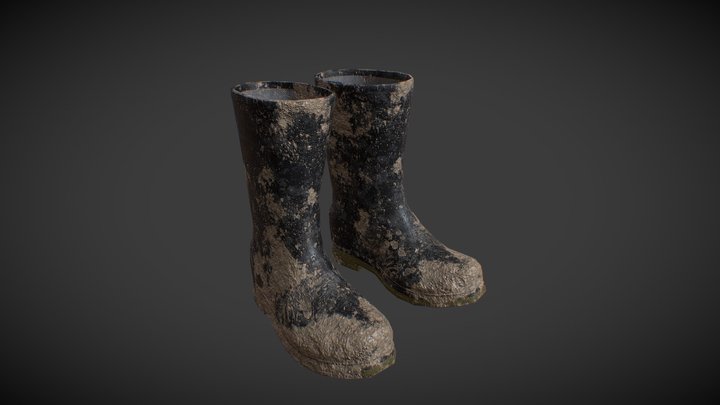 Rubber Boots Dirty 3D Model