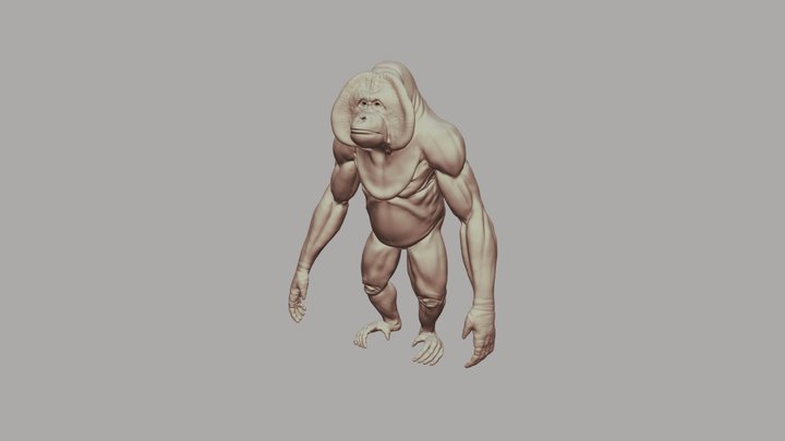 Orangutan 3D Model
