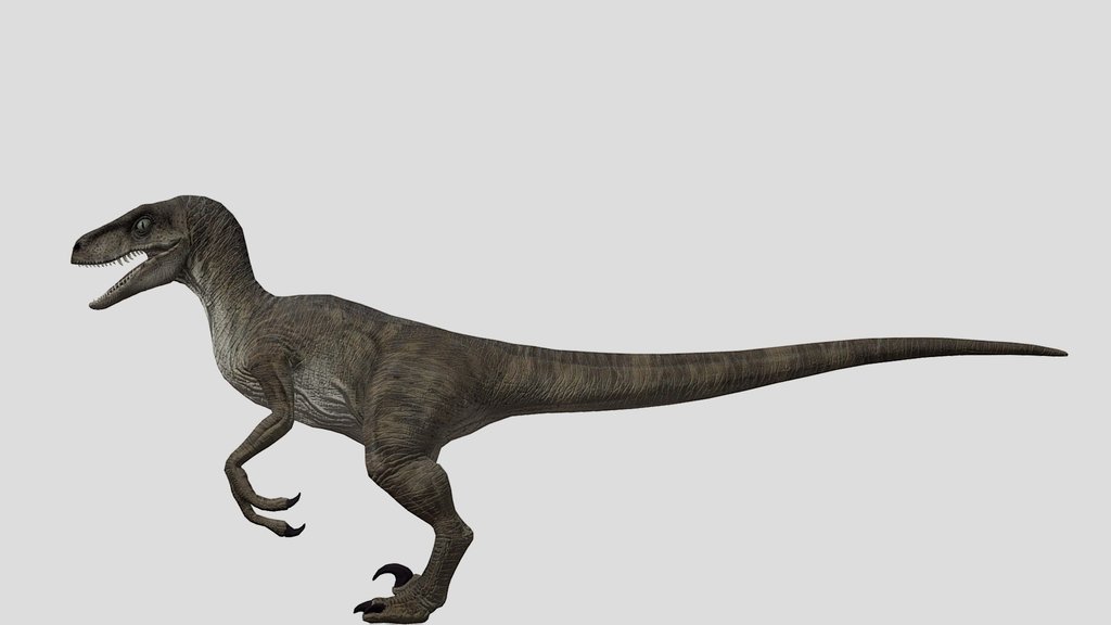 DracoWarrior's Randy