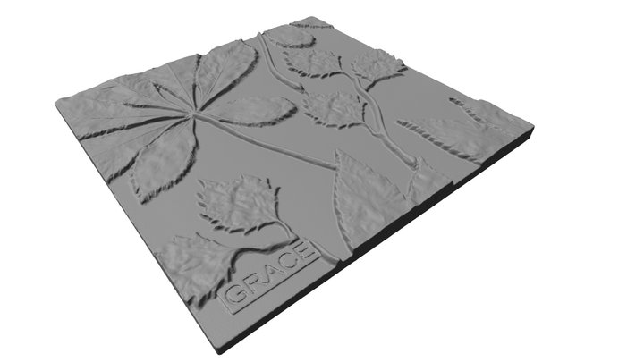 569360 3D Model