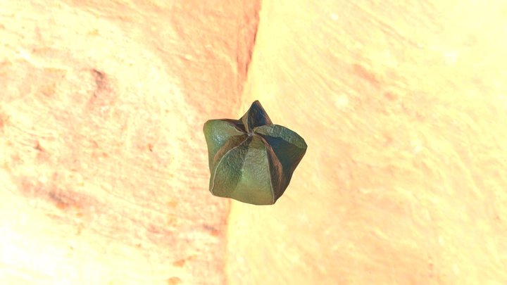 CACTUS2 /GART230 3D Model