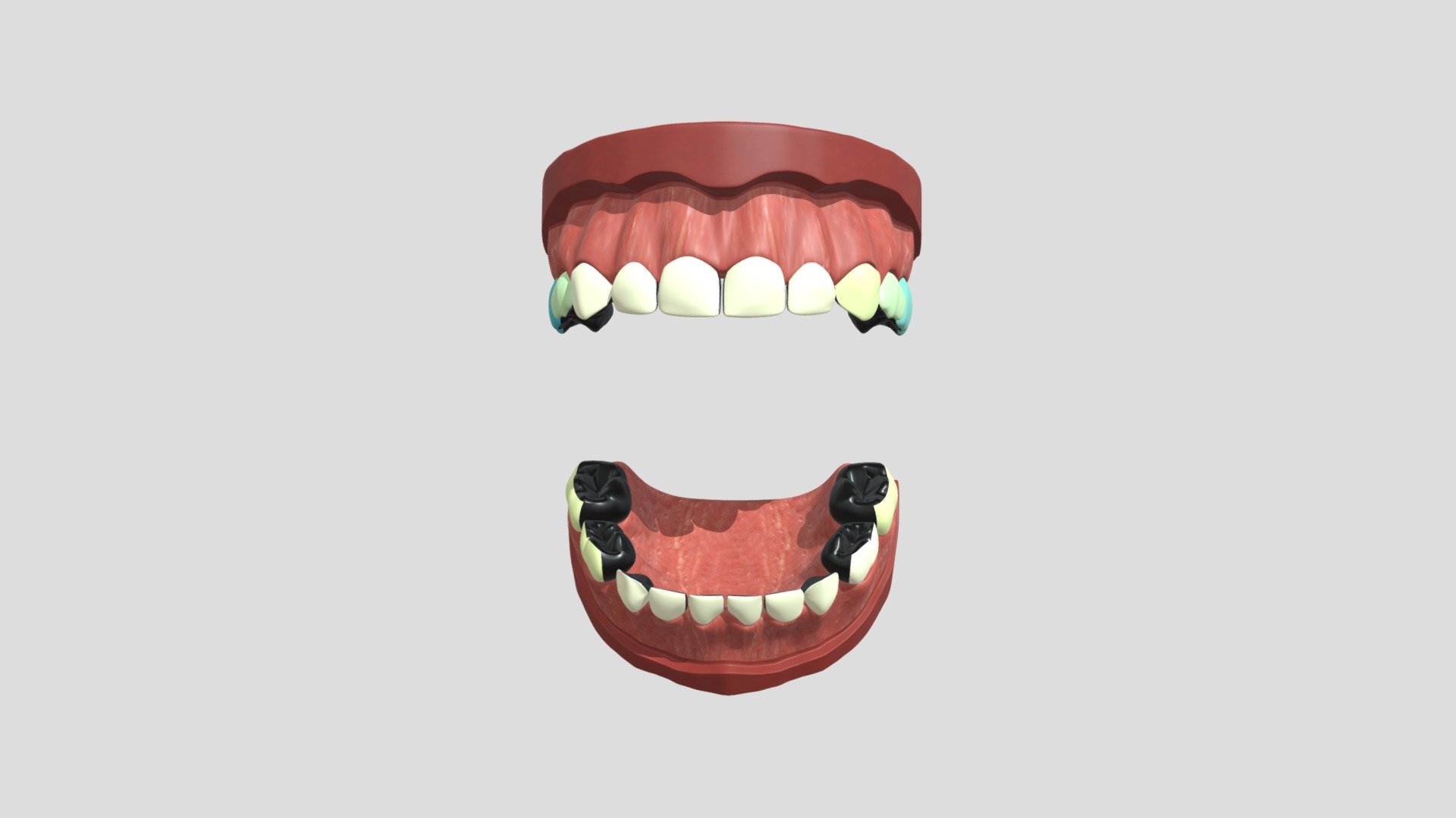 dema_nzunrestored_4cm_1c