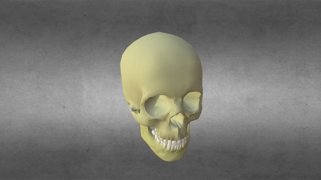 Skull Blend 3D Model