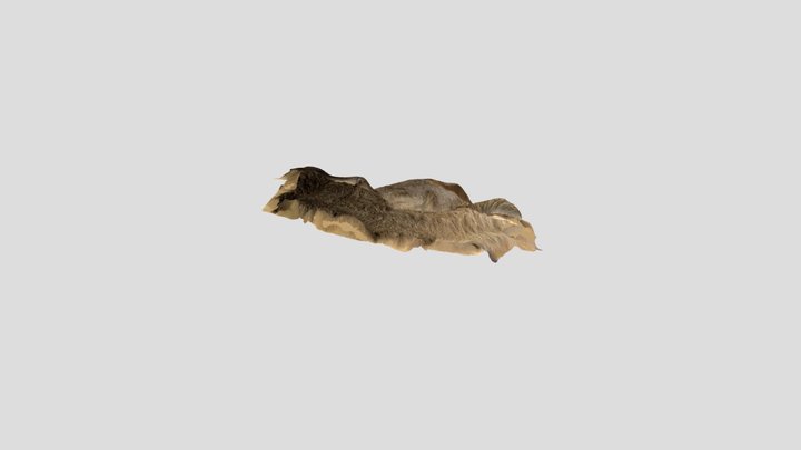 Deer fur 3D Model