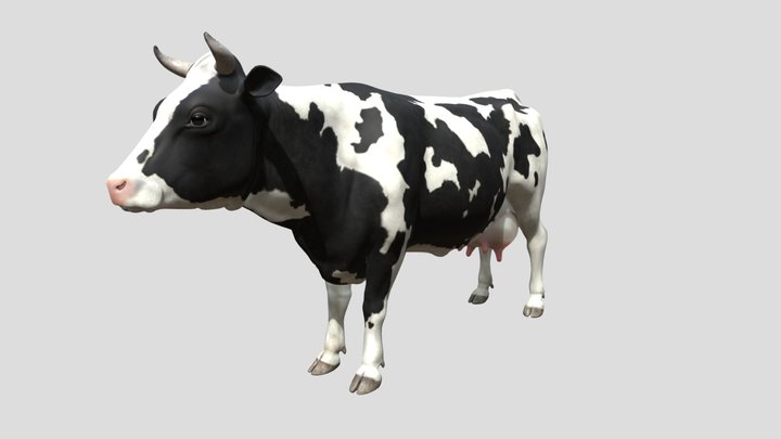 Dairy Cow 3D Model