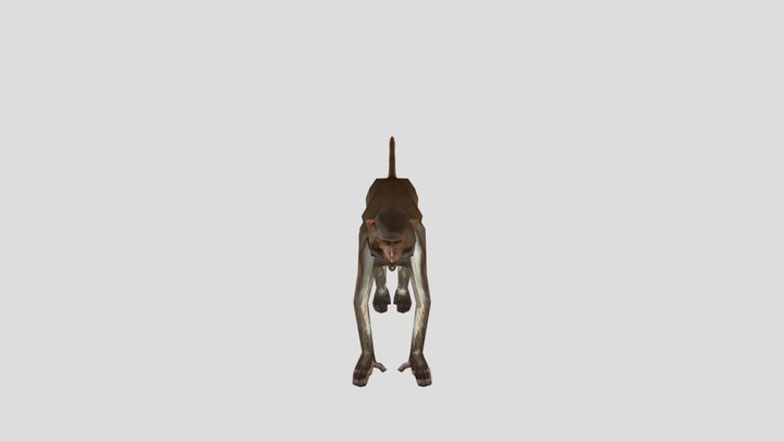 Monkey 3D Model