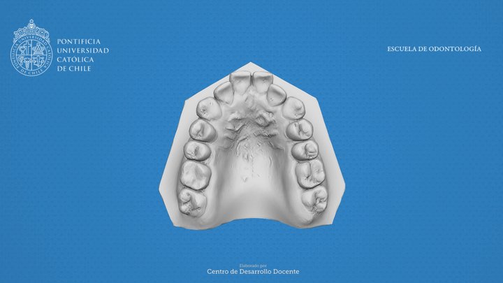 A2-S 3D Model