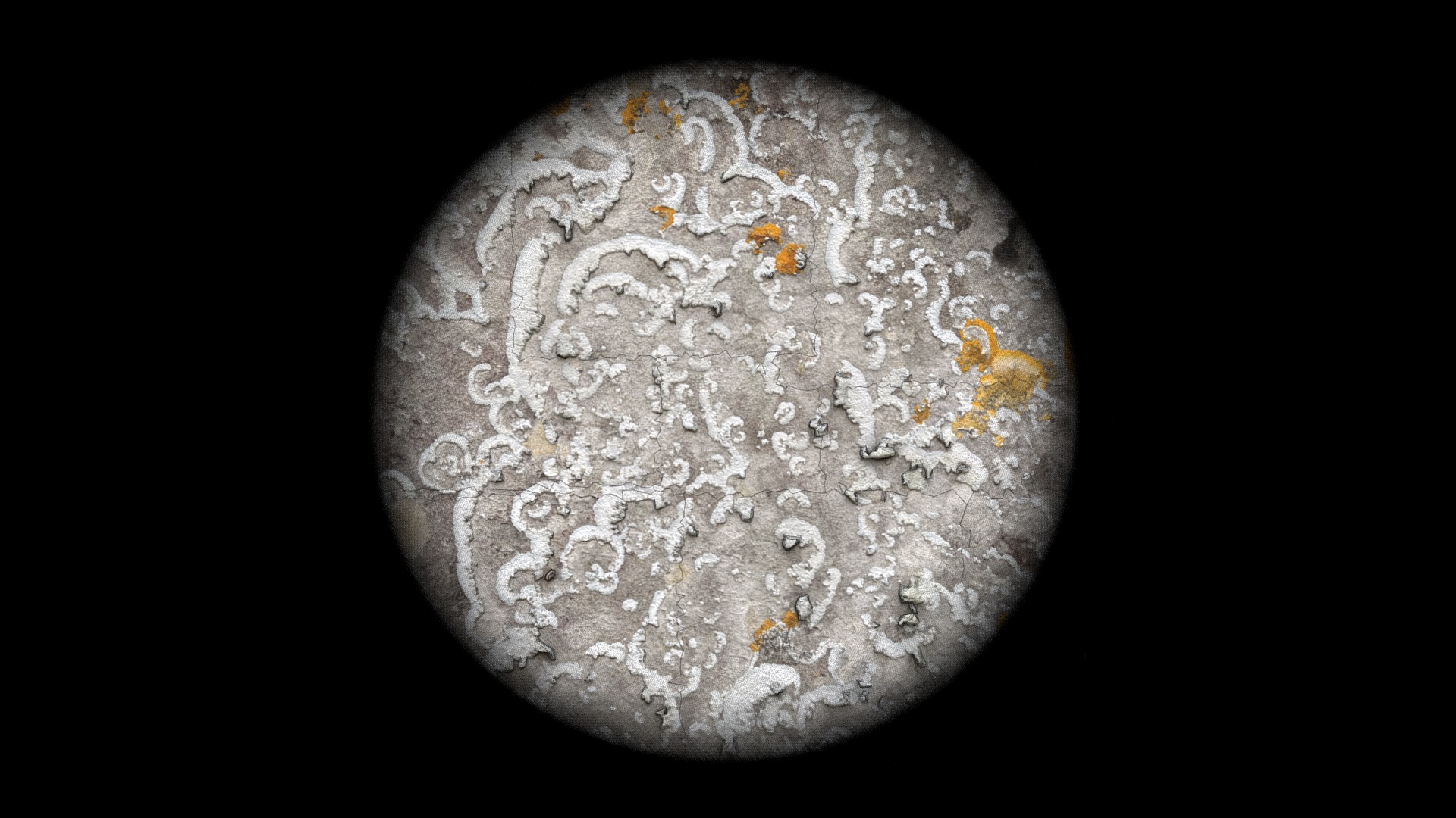 #WallScanChallenge - Lichen Patch