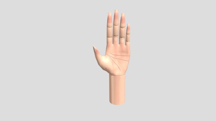 Luka Vanden Poel_22-23_3D visualisatie_3D hand 3D Model