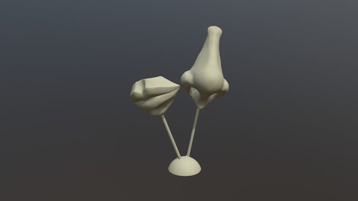 Day 1 Nose and mouth 3D Model