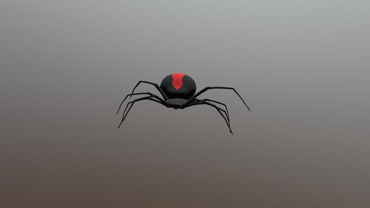 Spider Nhom06 1 3D Model