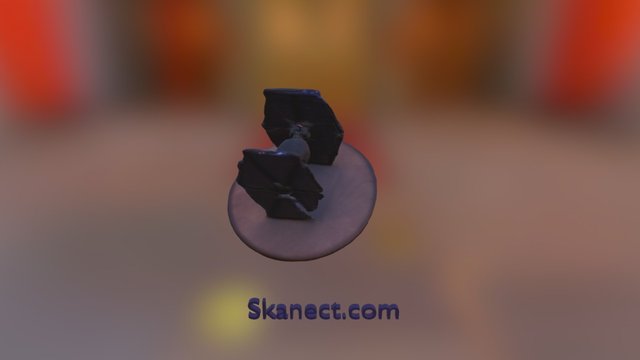 New Skanect Model 3D Model