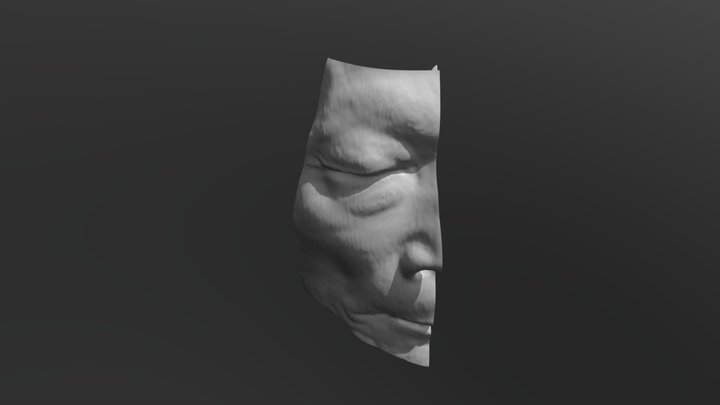 Head airway(nasal sinuses), Right side 3D Model