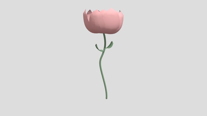 Peony 1 3D Model