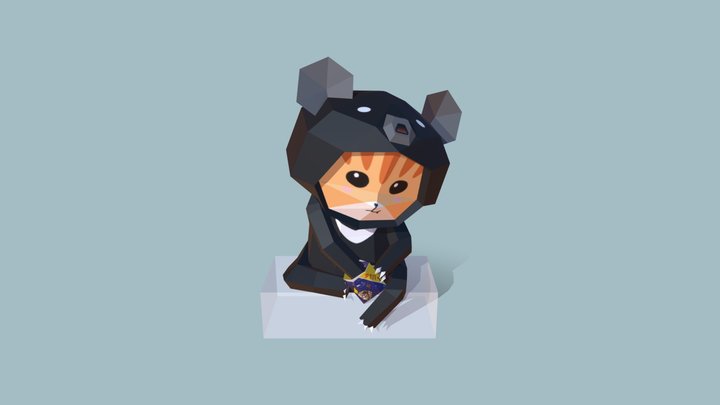 Cat in bear costume 3D Model
