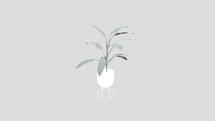 Heliconia Lobster Plant Small Potted – Gratis 3D-model STL