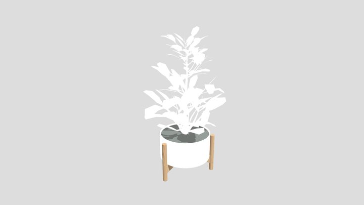 Indor Vase Plant