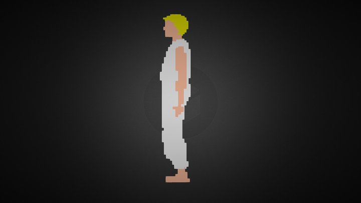 Prince of Persia 3D? 3D Model