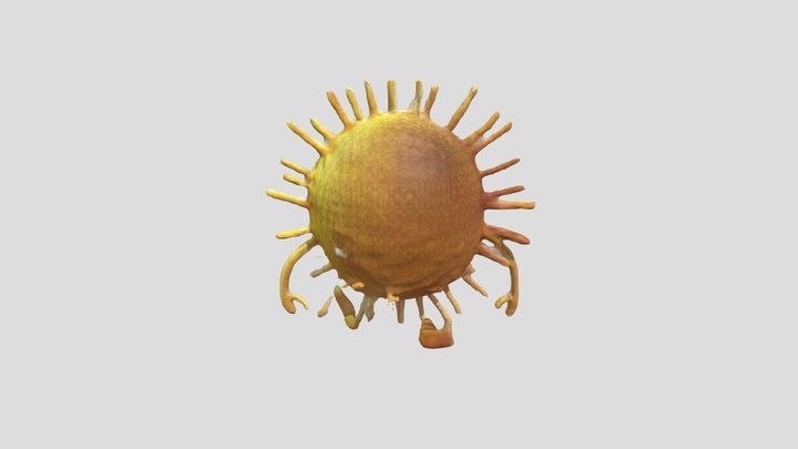 Test Character 3D Model