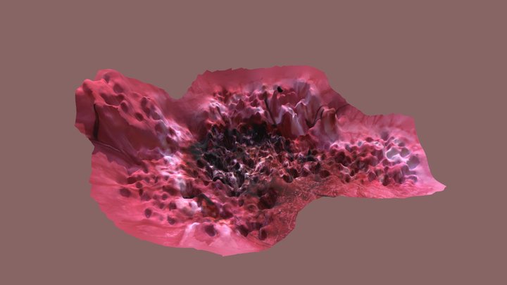 Scab 3D Model