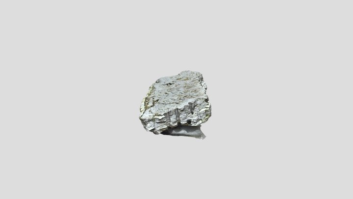 Otago Geology - Mounted rock in Quadrangle - 4 3D Model